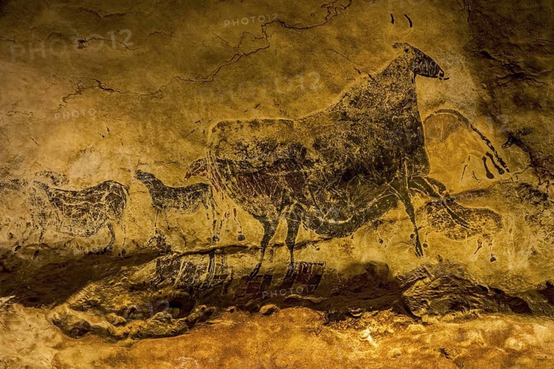 Replica of part of the Lascaux cave showing prehistoric animals like aurochs and wild horses at the Le Thot museum, Thonac near Montignac, Dordogne, France
