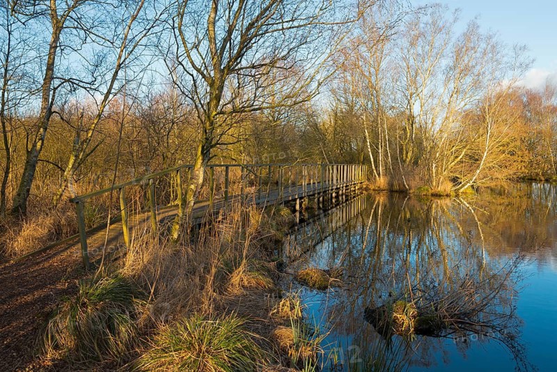 Bridge in the evening light, De Deelen, landscape conservation area, nature reserve, Luinjeberd, Lúnbert, Heerenveen, Friesland, Netherlands