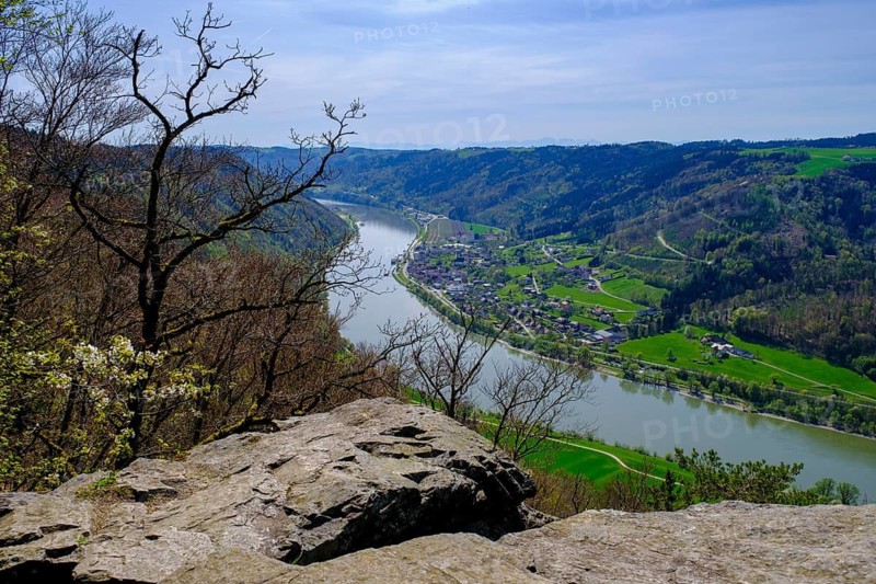 Ebenstein Chapel viewpoint, view of the Danube and Engelhardtszell Monastery, Donauleite, Passauer Land, Lower Bavaria, Germany