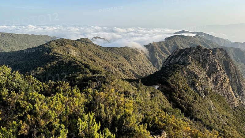 Los Roques, striking rock towers, Monumento Natural de los Roques, La Gomera, Canary Islands, Spain