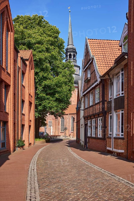 Street with buildings and tree to the church of St Cosmae et Damiani against blue sky in Stade, Hanseatic city, district of Stade, Lower Saxony, Germany Stade, Hanseatic city, district of Stade, Lower Saxony, Germany