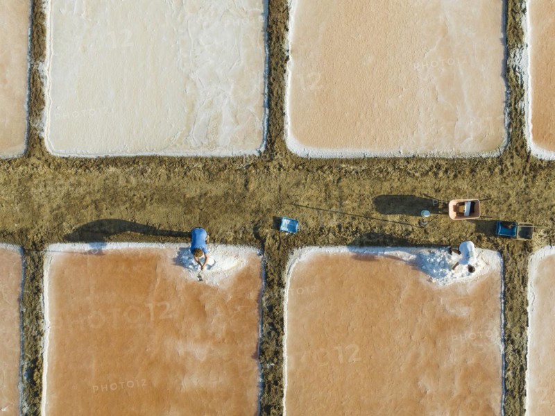 Harvesting salt at the saline ponds near Chiclana de la Frontera. The orange-red colour depends on the level of salinity and is directly caused by the algae Dunaliella salina and brine shrimp. Aerial view. Drone shot. Cádiz province, Andalusia, Spain