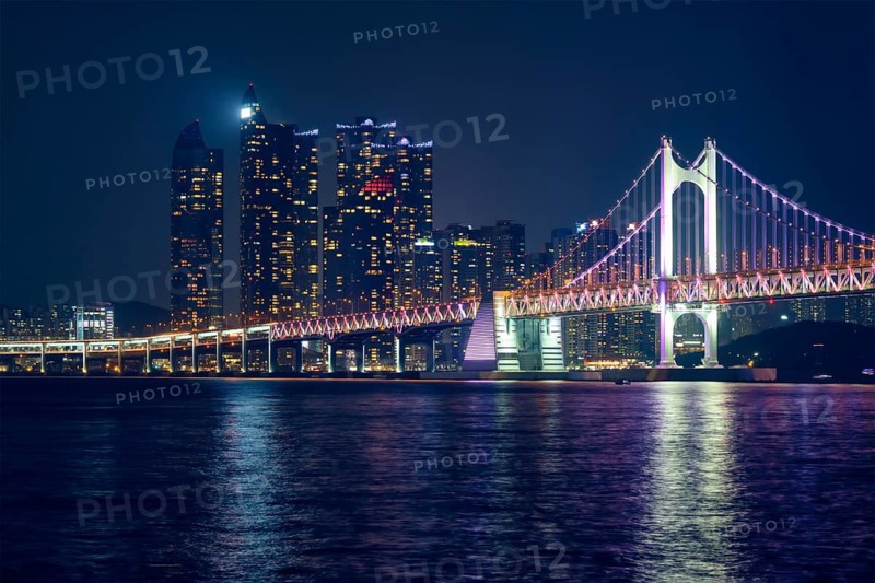 Gwangan Bridge and skyscrapers illuminated in the night. Busan, South Korea