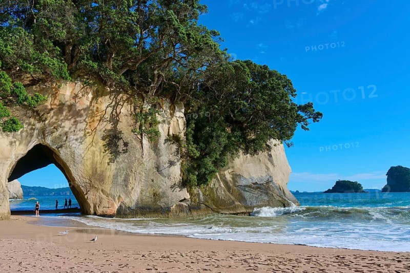 Sandy beach beach with rock arch and surrounding trees, view of the sea, Cathedral Cove, Hahei, Coromandel Peninsula, North Island, New Zealand
