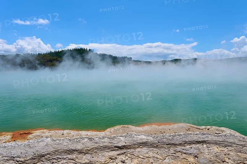 A steaming lake under a clear sky surrounded by forest, Champagne Pool thermal lake, Wai-O-Tapu Thermal Wonderland, Rotorua, North Island, New Zealand