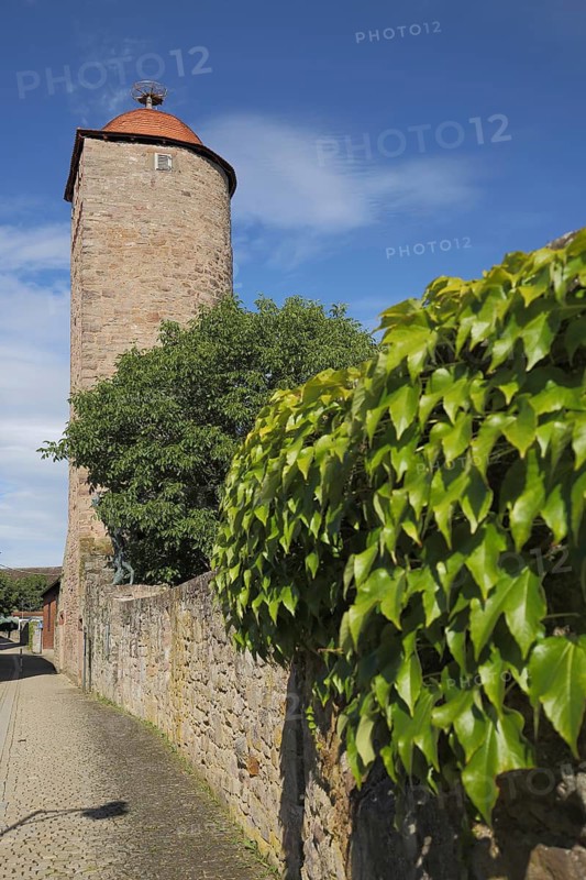 Historic monk tower and city wall with ivy and plant growth, Hammelburg, Lower Franconia, Franconia, Bavaria, Germany
