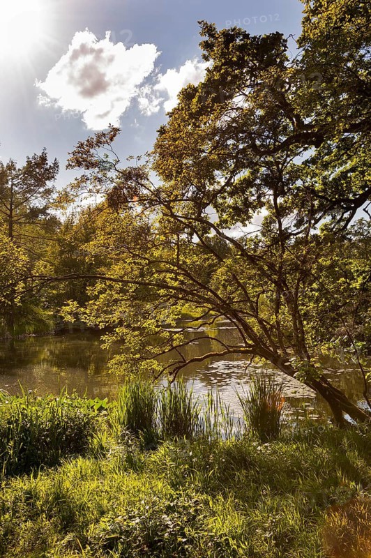 Botanical Garden, next to Nymphenburg Palace Park, 2024 110th anniversary, Munich, Bavaria
