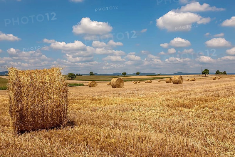 Stubble field with straw rolls, Palatinate, Rhineland-Palatinate, Germany