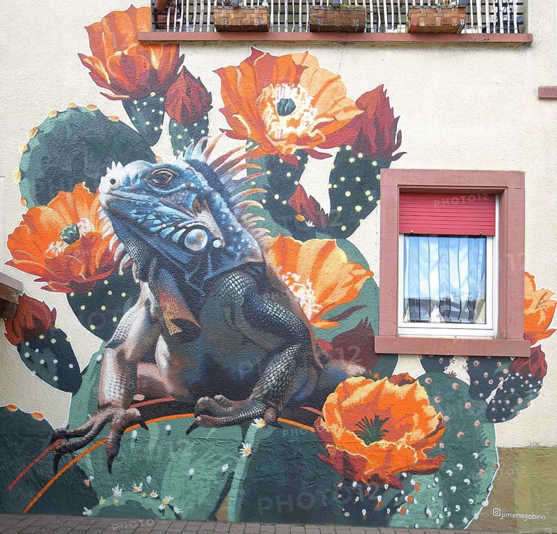 Mural by Jimena Gabino 2025, open-air gallery, WineStreetArt Festival, wine festival, street art, graffiti, chameleon, lizard, cactus, flowers, house facade, Gönnheim, Wachenheim, German Wine Route, Rhineland-Palatinate, Germany