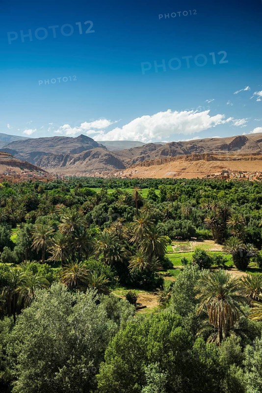 Oasis and city, Tinghir, Drâa-Tafilalet region, Atlas Mountains, Morocco