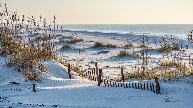 Sand dunes with sea oats and wooden fencing provide erosion control along the Gulf of Mexico beaches at Gulf Shores Alabama