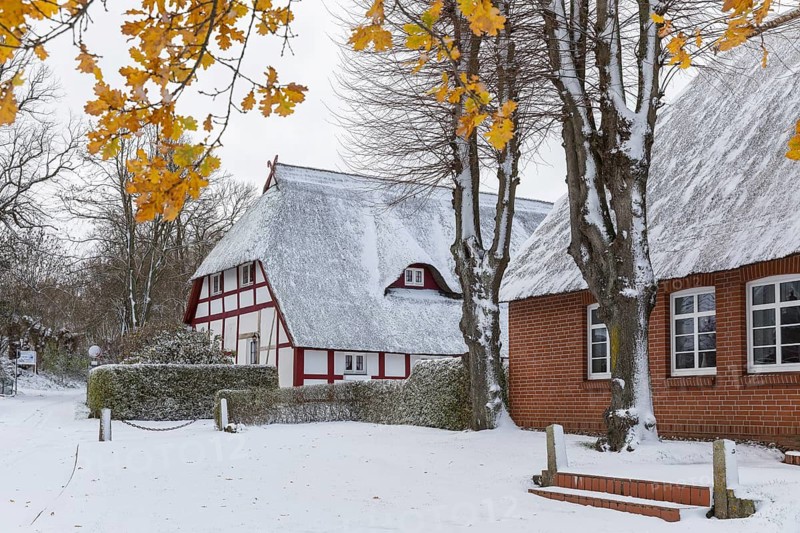 Snow-covered thatched house in Wohlenberg, Klütz, Mecklenburg-Vorpommern, Germany