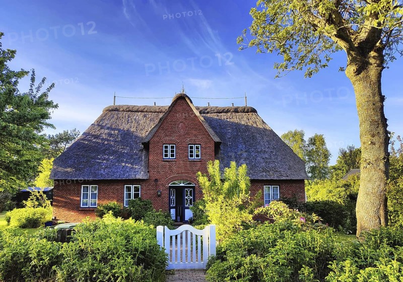 Uthlandfriesian house, typical, small thatched-roof houses with gables also called Frisian house, Borgsum, Föhr, North Frisia, Schleswig-Holstein, Germany