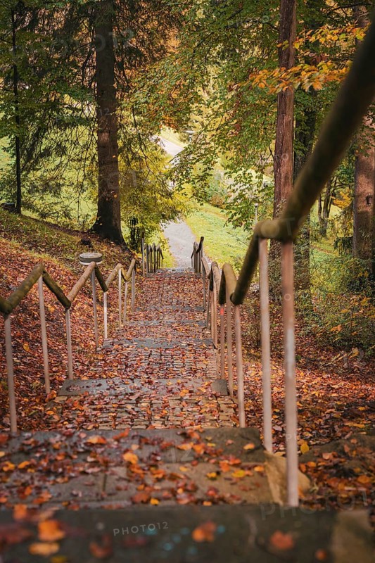 Long staircase with leaves, caution: slippery, in the spa gardens in autumn, Bad Wildbad, Black Forest, Germany