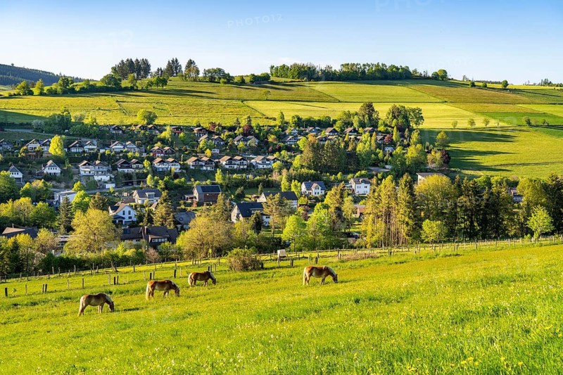 Sauerland landscape near Wemlighausen, district of Bad Berleburg, in the Siegen-Wittgenstein district, horses in the paddock, North Rhine-Westphalia, Germany