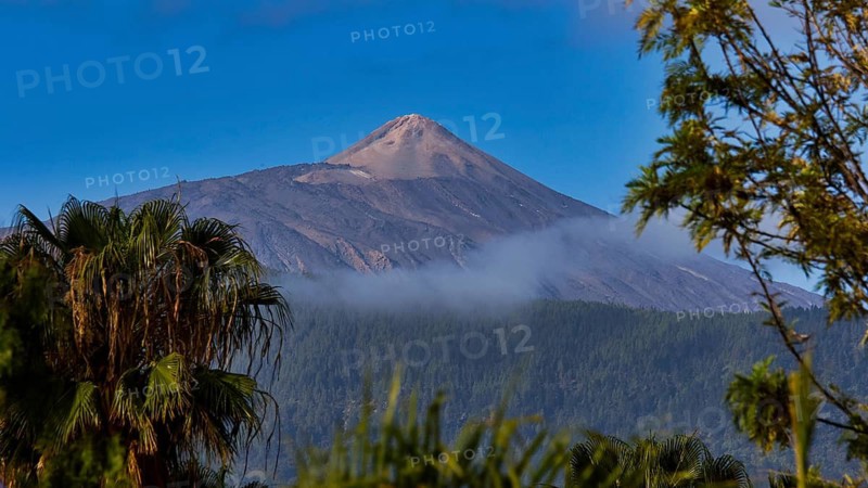 View of the Teide volcano with passing clouds and lush greenery in the foreground, Teide National Park, Teide National Park, volcano, volcanism, UNESCO World Heritage Site, Tenerife, Canary Islands, Spain