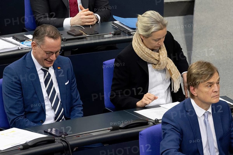 The AfD parliamentary group with Alice Weidel during a Bundestag debate on a government statement on domestic policy issues in the German Bundestag, Berlin, 29 January 2025 Friedrich Merz (CDU) proposes a new law to tighten immigration controls and hints that he would also be open to support from the far-right party AfD (Alternative for Germany) in the vote