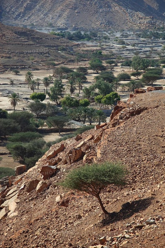 Landscape in the Bay of Bukha, in the Omani enclave of Musandam, Oman