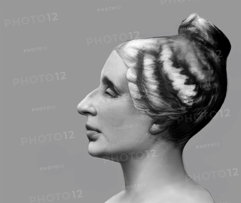 Bust of Marie-Sophie Germain, 1776 –1831, French mathematician, physicist and philosopher, digitally edited
