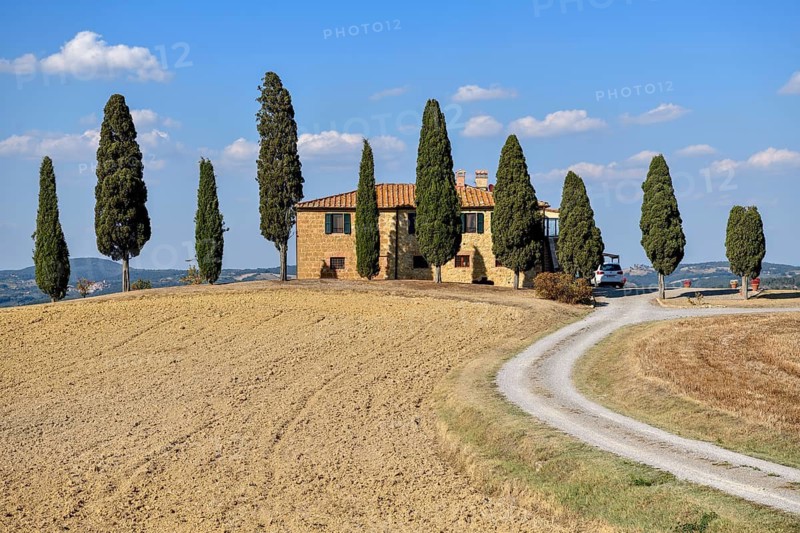 Cypresses in front of a country house, near Pienza, Val d'Orcia, Orcia Valley, Tuscany, Italy