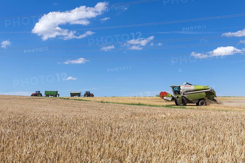 Combine harvester harvesting grain, Harvesting wheat, Tractors, Baden-Württemberg, Germany