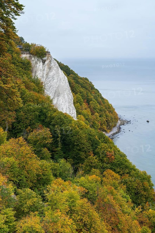 Victoria view of Königsstuhl, chalk cliffs and Baltic Sea, trees with autumn colors, Jasmund National Park, Sassnitz, Rügen island, Baltic Sea, Mecklenburg-Western Pomerania, Germany
