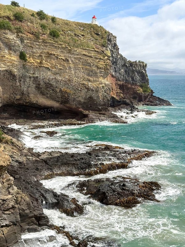 Taiaroa Head Lighthouse at the Royal Albatross Centre, Taioroa Head, Otago, South Island, New Zealand, Oceania
