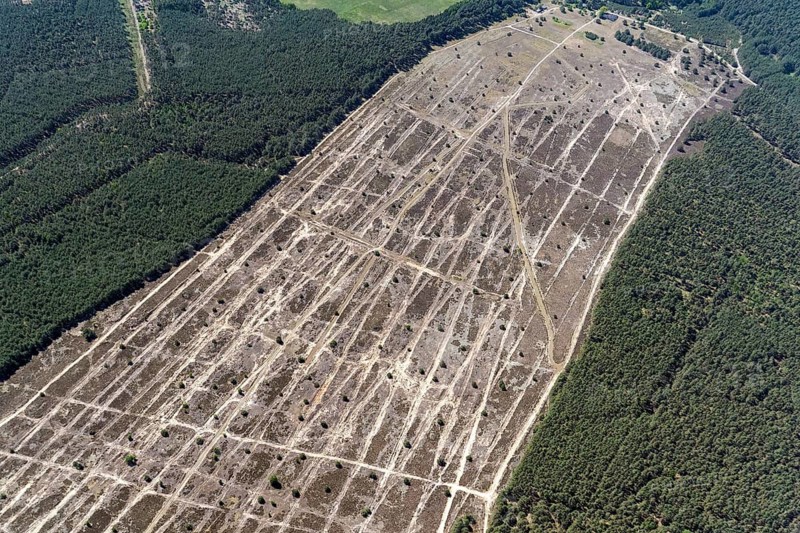 Former military training area Lübtheen, military training area, aerial photograph, aerial view, nature reserve, Lübtheen Heath