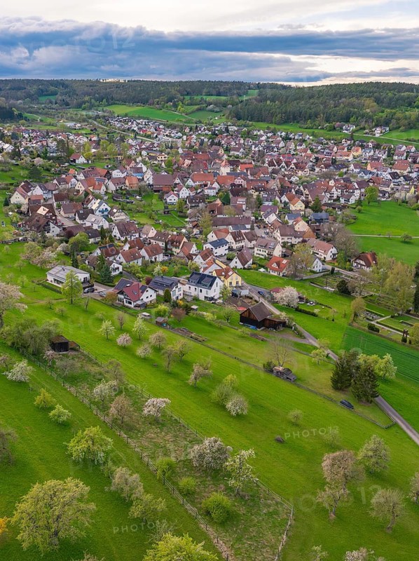 Many fruit trees on green meadows lie in front of a picturesque village, Ostelsheim, district of Calw, Germany