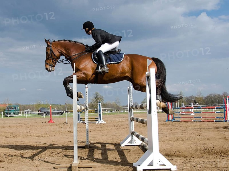 Horse show jumping equestrian competition in Jaroszowka, Poland