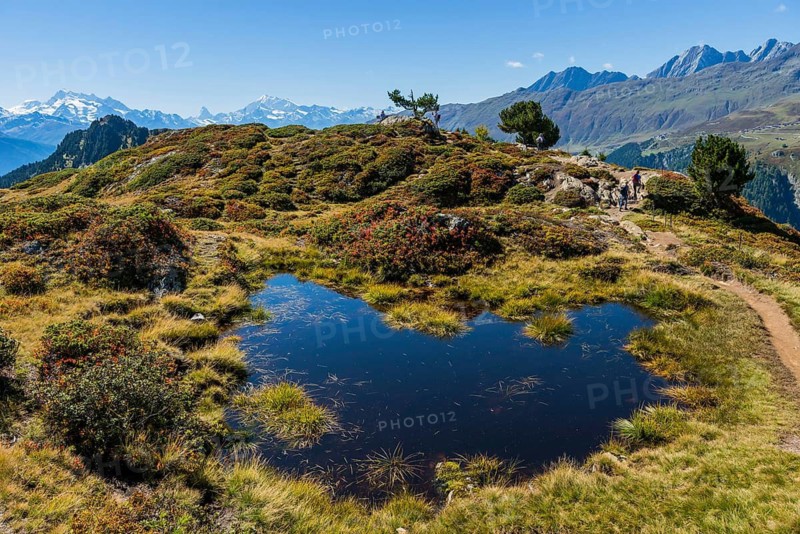 Hiking on the Moranenweg, Riederalp, tourism, hiking, hike, blue sky, Matterhorn, Aletsch Arena, Valais, Switzerland