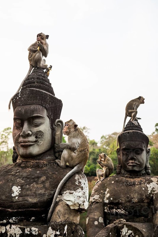 Figures and monkeys on the bridge to Angkor Thom, macaques, sunset, Angkor Wat, Angkor, UNESCO World Heritage Site, Siem Reap, Cambodia, Indochina, Southeast Asia