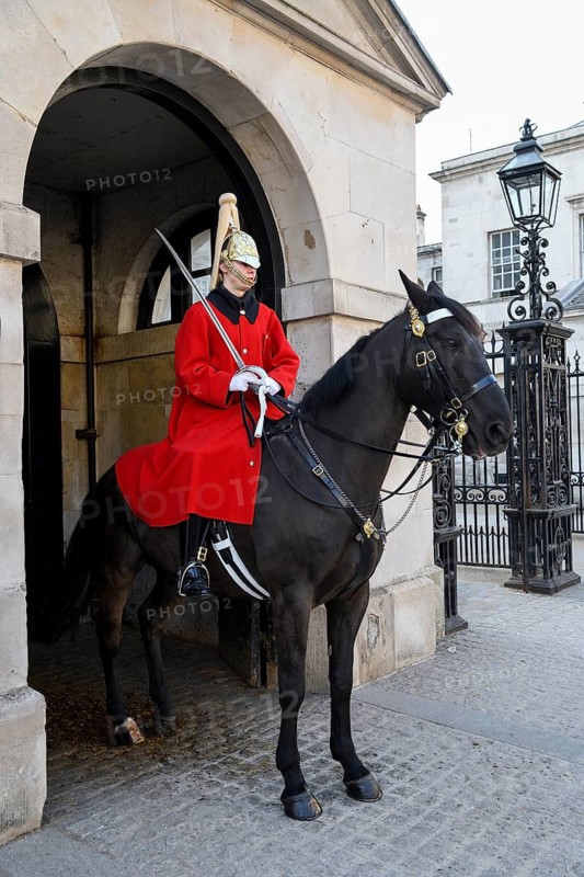 Horse Guard, soldier of the Household Cavalry Mounted Regiment, White Hall, Westminster, London, England, Great Britain