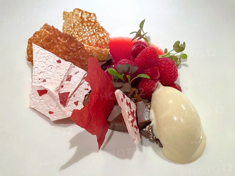 Dessert, dessert, vanilla ice cream, raspberries, chocolate, crisps, food, starred cuisine Oettinger's Restaurant, Schmiden near Fellbach, Baden-Württemberg, Germany
