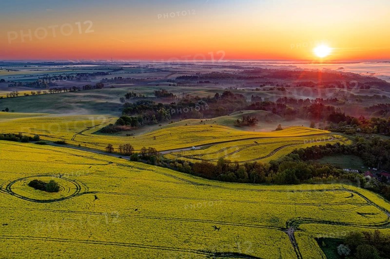Sunrise over the rapeseed fields in the Uckermark. aerial view. Stützkow, Schwedt, Brandenburg, Germany