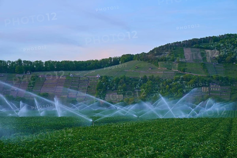 Irrigation systems spray water over green fields with hills in the background, Karlburg, Karlstadt, Main-Spessart, Mainfranken, Lower Franconia, Bavaria, Germany