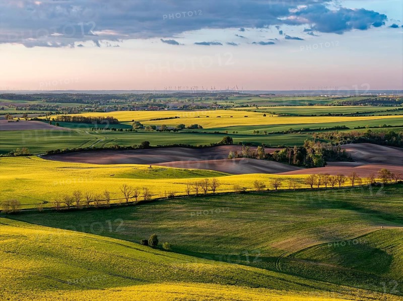 Spring landscape with blooming rapeseed fields in the Uckermark in the evening light. aerial view. Stützkow, Schwedt, Brandenburg, Germany