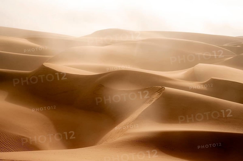 Sand dunes, sea of dunes, sandy desert, impressive desert landscape, Namib Naukluft Park, Namib desert, Namibia