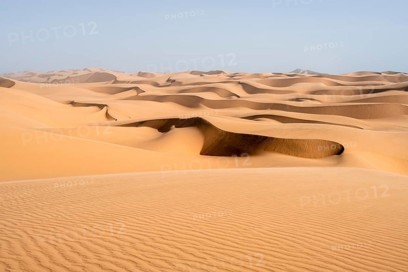 Sand dunes with wave patterns, dune sea, sandy desert, impressive desert landscape, Namib Naukluft Park, Namib desert, Namibia