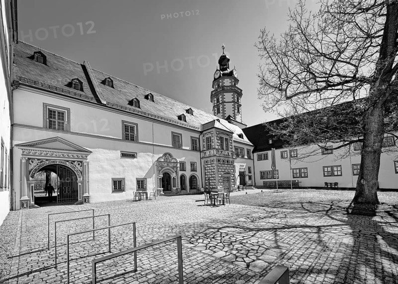Ehrenstein Palace and Park, Renaissance Palace, Palace Complex, Castle Tower, B/W photo, black and white, tourist attraction, Ohrdruf, Thuringia, Germany