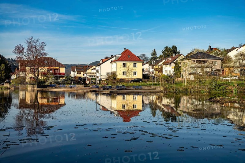 Der See Schwanenweiher in Annweiler am Trifels, Südliche Weinstraße, Rhineland-Palatinate, Germany