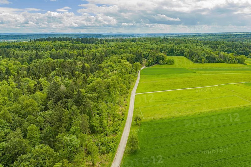 A country road snakes through green fields and forests under a cloudy sky, Aidlingen sports ground, Böblingen district, Germany