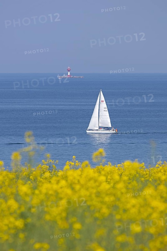Sailing boat, rapeseed field, Baltic Sea, lighthouse Kiel pilot station, Altbülk, beaches, Schleswig-Holstein, Germany