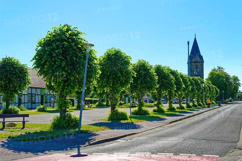 Avenue in the center of Mieste in the UNESCO Biosphere Reserve Drömling Saxony-Anhalt in the Altmark. Mieste, Gardelegen, Saxony-Anhalt, Germany