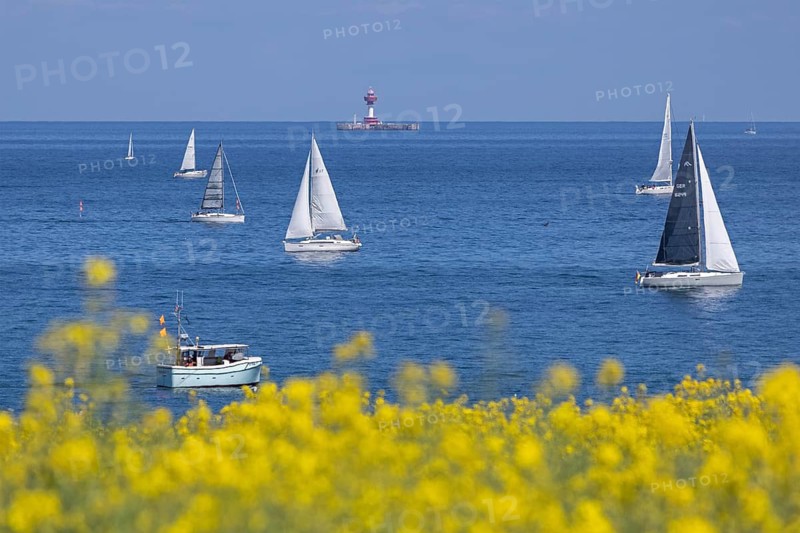 Sailboats, boats, rapeseed field, Baltic Sea, lighthouse Kiel pilot station, Altbülk, beaches, Schleswig-Holstein, Germany