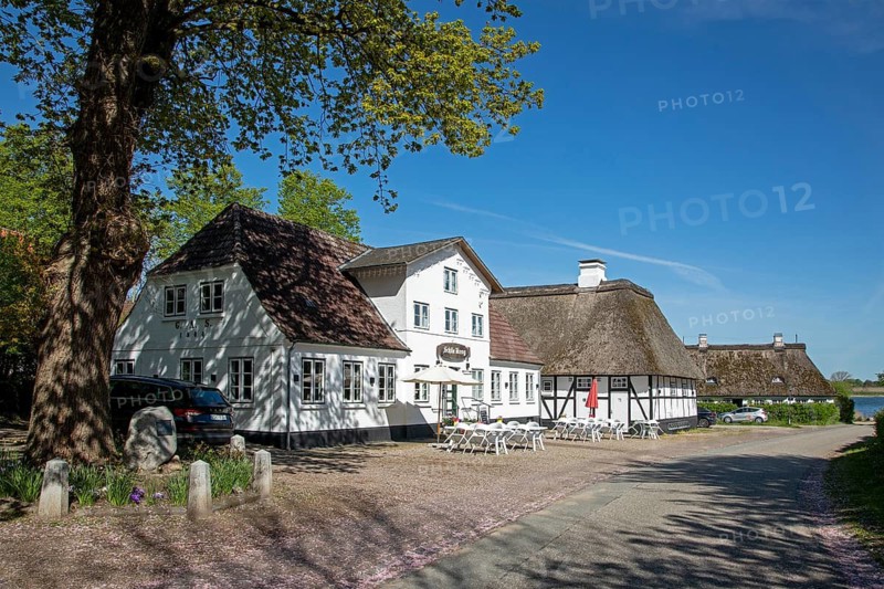 Restaurant Schlie Krog, thatched houses, half-timbered house, Sieseby, Schlei, Schleswig-Holstein, Germany