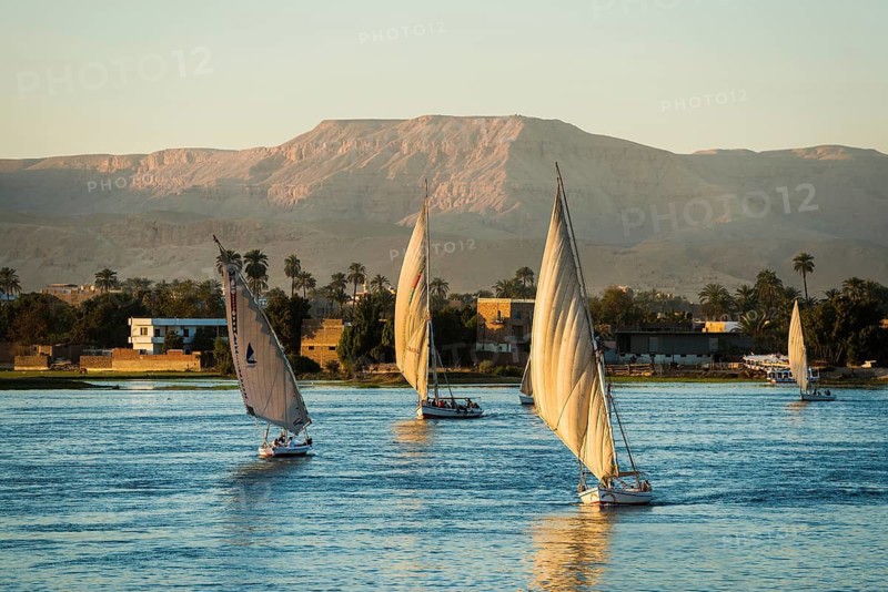 Sailing ships, feluks on the Nile, sunset, Luxor, Egypt