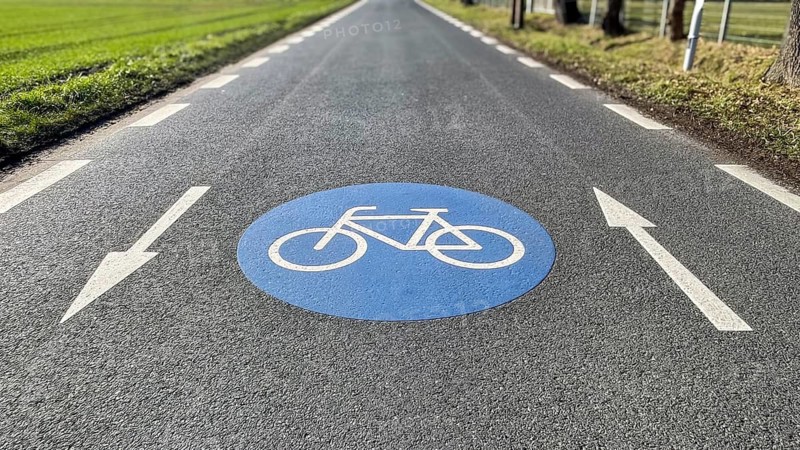 Large marking on narrow district road country road in rural area painted symbol for road signs 244.1-40 beginning end of a bicycle road, next to it direction arrows for in both directions of travel, Germany