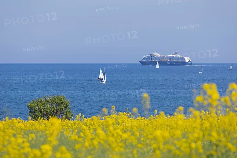 Color Line ferry, sailboats, rapeseed field, tree, Baltic Sea, Altbülk, beaches, Schleswig-Holstein, Germany