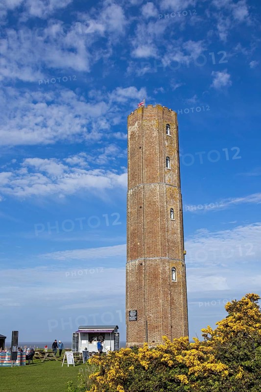 Gorse, Naze Tower, The Naze Nature Reserve, Walton-on-the-Naze, England, Great Britain
